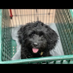 Meet your Posher, Nick